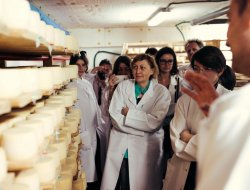 Перша робоча зустріч. Ужгород, 24 – 26 травня - фото 3