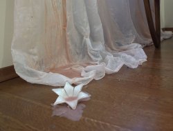 "Широкі жести у тісній кімнаті" - фото 5