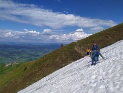 Мандрівка Закарпаттям - фото 60