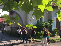 Мандрівка Закарпаттям - фото 29