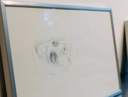 Експозиція виставки Алевтини Кахідзе «Покоління жінок і рослин» - фото 9