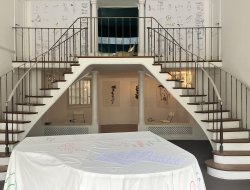 Експозиція виставки Алевтини Кахідзе «Покоління жінок і рослин» - фото 16