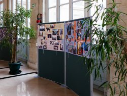 Виставка харківської мистецької студії AzaNiziMaza «Під землею і на землі» - фото 9