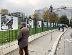 Вулична виставка  “Листівки з України” - фото 11